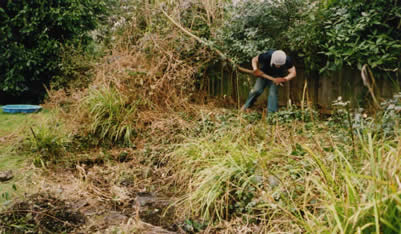 Clearing overgrown areas